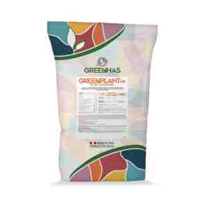 Fertilizant Greenplant Vip NPK 10-40-10+2MgO+Micro Greenhas
