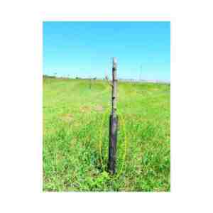 Flexguard 6x80cm
