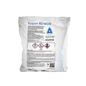 Fungicid Folpan 80WDG 1kg