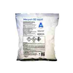 Fungicid Merpan 80WDG 1kg