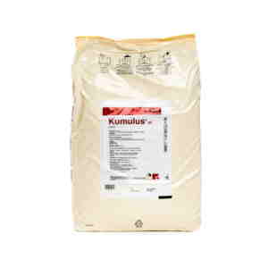 Fungicid Kumulus DF 25kg