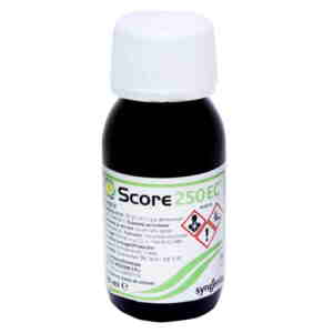 Fungicid Score 250 EC - 50ml