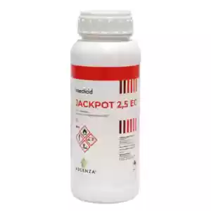 Jackpot EC 1l