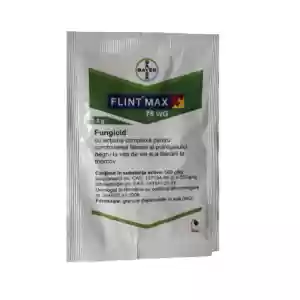 Fungicid Flint Max 75 WG 2g