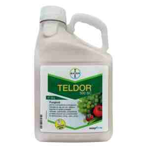 Fungicid Teldor 500 SC 5l