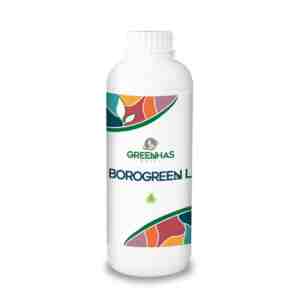 Fertilizant Borogreen L 1l Greenhas