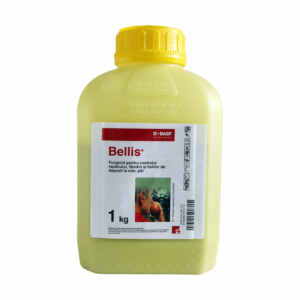 Fungicid Bellis 1kg