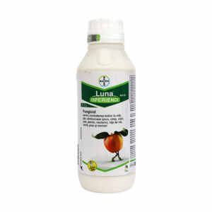 Fungicid Luna Experience 400 SC 1l