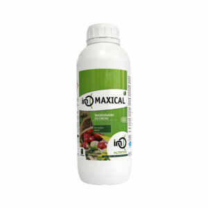 Îngrășământ Ino Maxical 1l