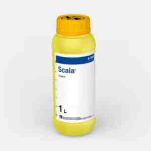 Fungicid Scala 1l