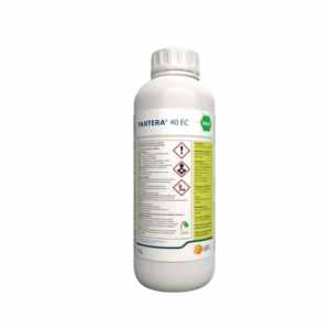 Erbicid Pantera 40EC 1l