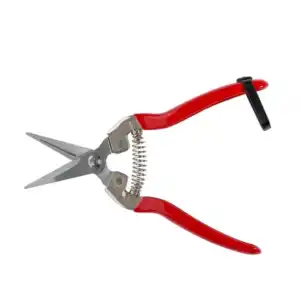 Foarfecă de recoltat curbata 60 mm