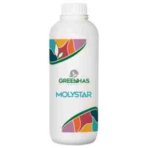 Fertilizant Molystar 1l